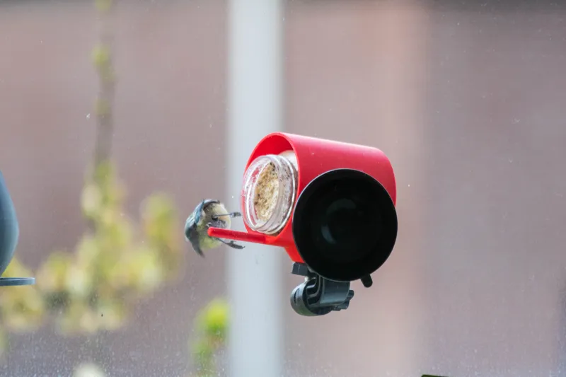 Jar-holder to feed birds