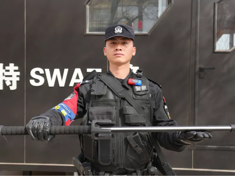 特警大宝剑