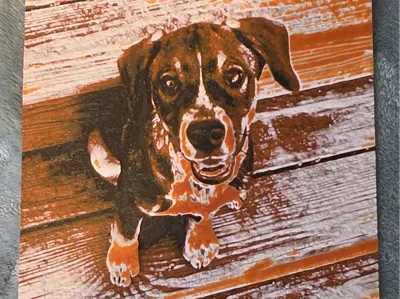 Hueforge Dog (Loki)