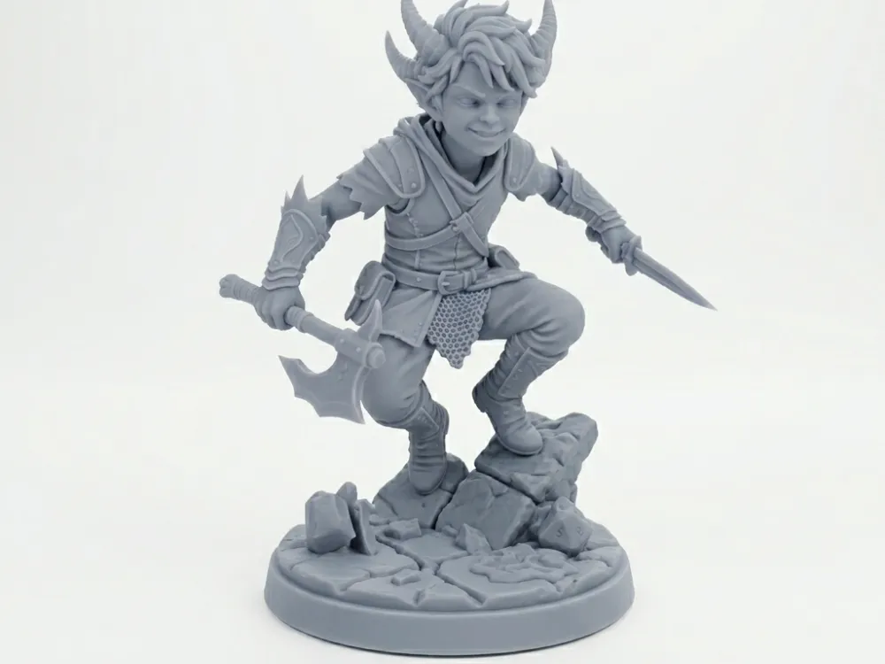 DND 提夫林术士微缩模型 - 免费 3D 打印模型 - MakerWorld