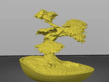 bonsai