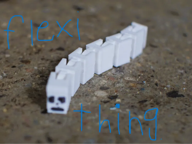 THE FLEXI THING.