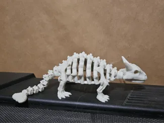 An articulated Ankylosaurus skeleton.