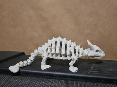 An articulated Ankylosaurus skeleton.