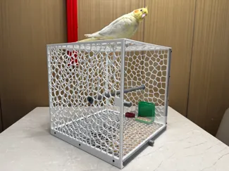 夏季鹦鹉笼 鸟笼