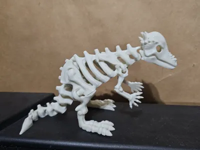 An articulated pachycephalosaurus skeleton.