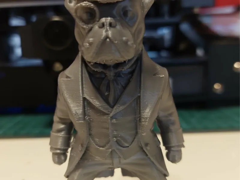 Französische Bulldogge