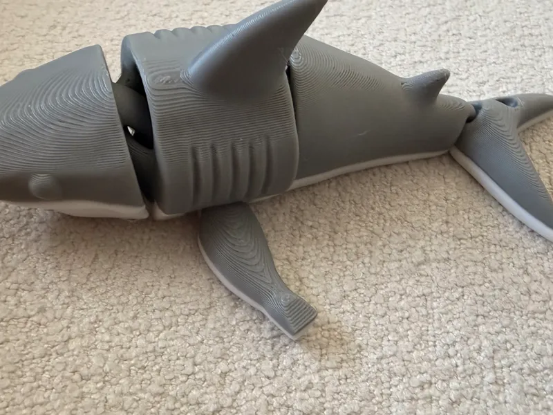 shark