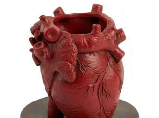 Portapenne Cuore Anatomico
