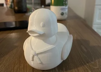 Rubber duck
