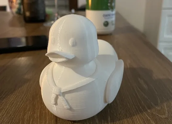 Rubber duck