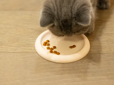 Kitten Small-Capacity Cat Food Bowl