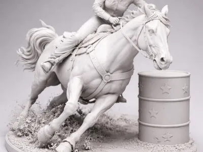 Barrel Rider