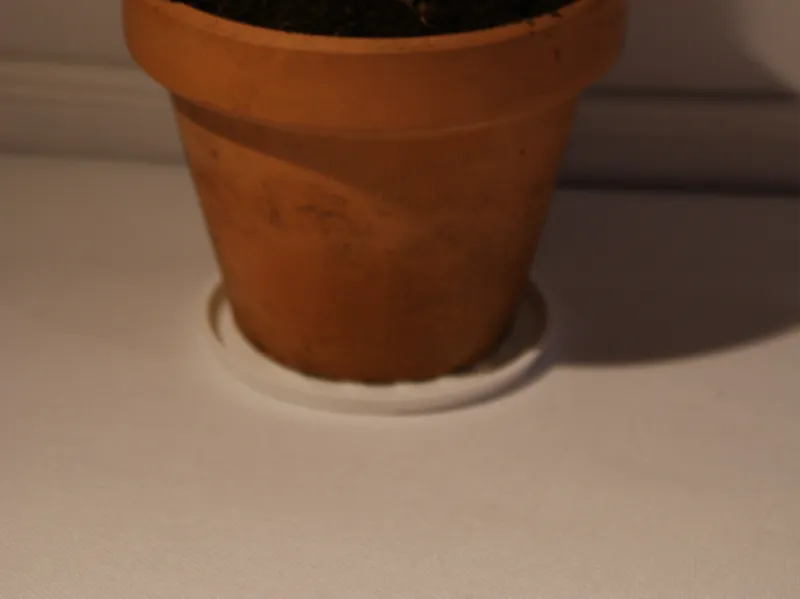 Plant pot saucer