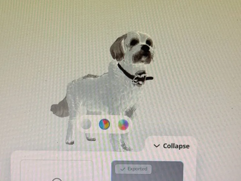 perro maca