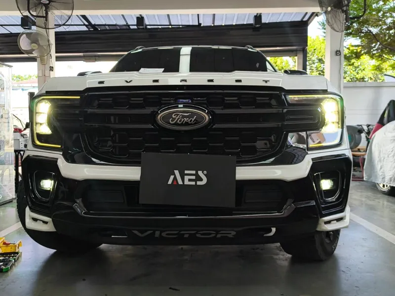 ford fog