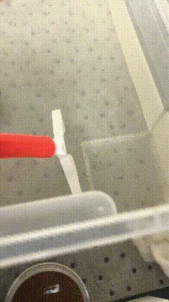 https://makerworld.bblmw.com/makerworld/model/DSM00000002624808/design/2026-01-02_1b7f846ad5ecb.gif