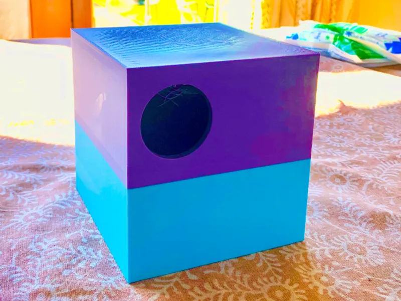 bird box