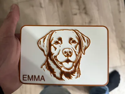 EMMA 