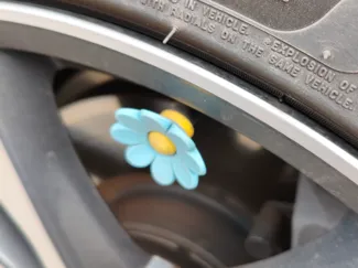 气门嘴帽
