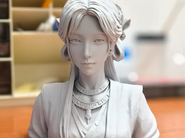 https://makerworld.bblmw.com/makerworld/model/DSM00000002628467/design/f9d2a9f01b22c042.jpg