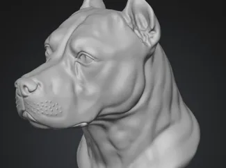 pitbull with stand