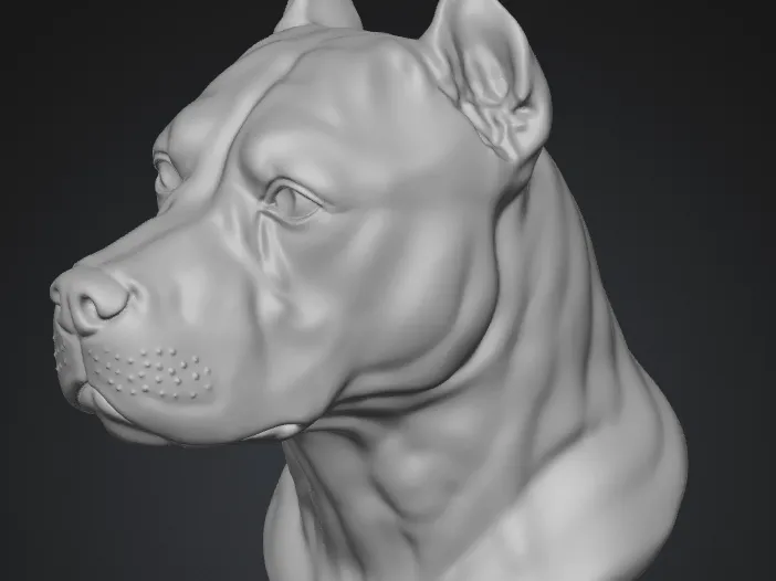pitbull with stand