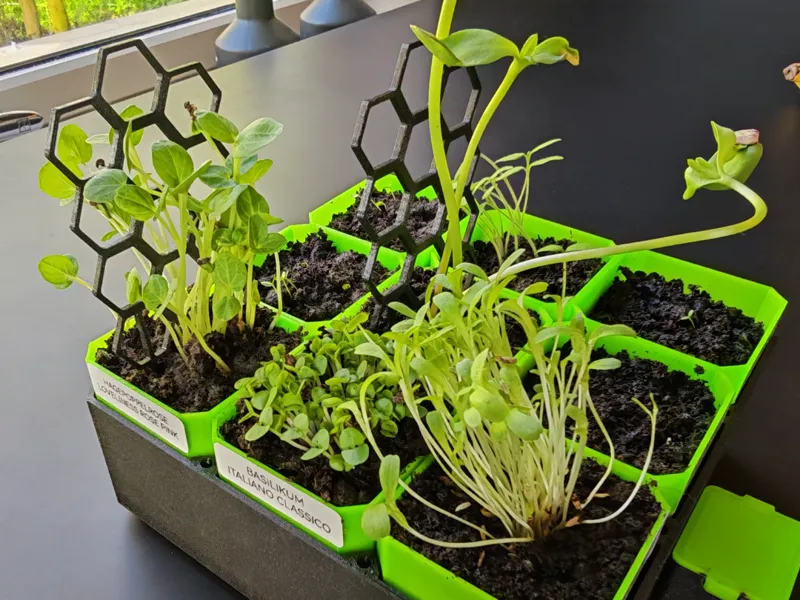 Modern Honeycomb Plant Trellis (No Supports)