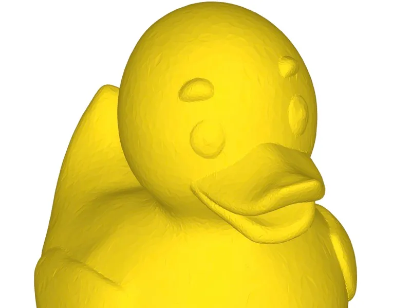 Rubber Duck