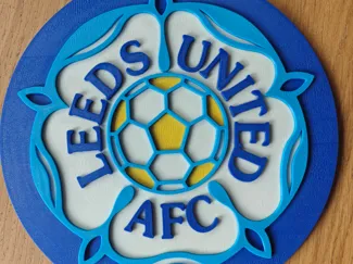 Leeds United Yorkshire Rose 3D