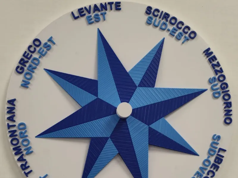 Rosa dei venti