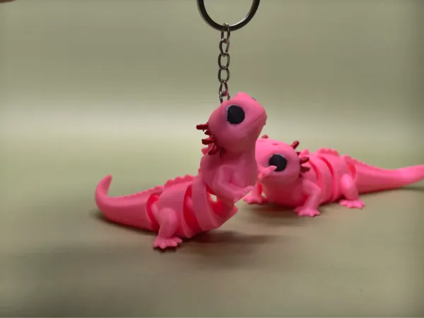 https://makerworld.bblmw.com/makerworld/model/DSM00000002637307/design/f2fc4037426428b2.jpg