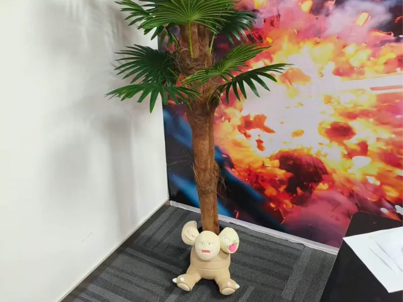 椰蛋树花盆