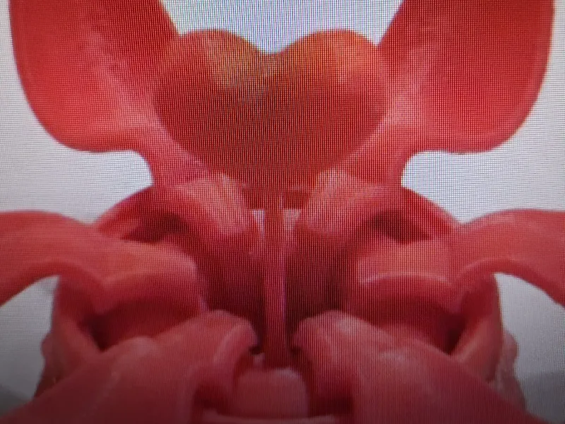 corazon de metal 