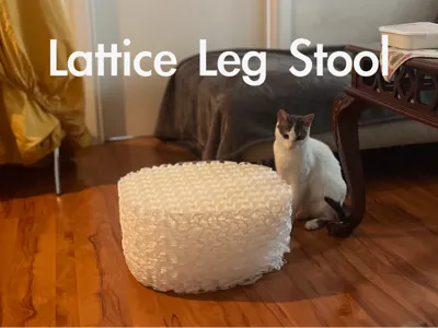 TPU Lattice Leg Stool