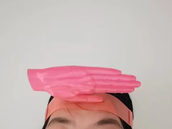 https://makerworld.bblmw.com/makerworld/model/DSM00000002639322/design/31687d1a8f24354d.jpg