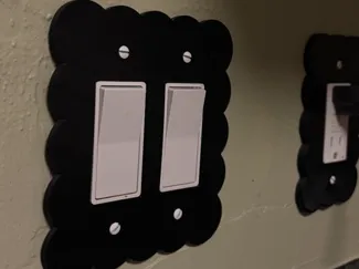 Light Switch Cover X2
