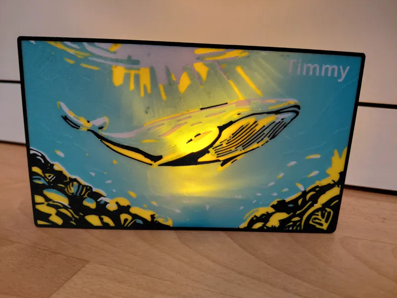 Buckelwal-Timmy