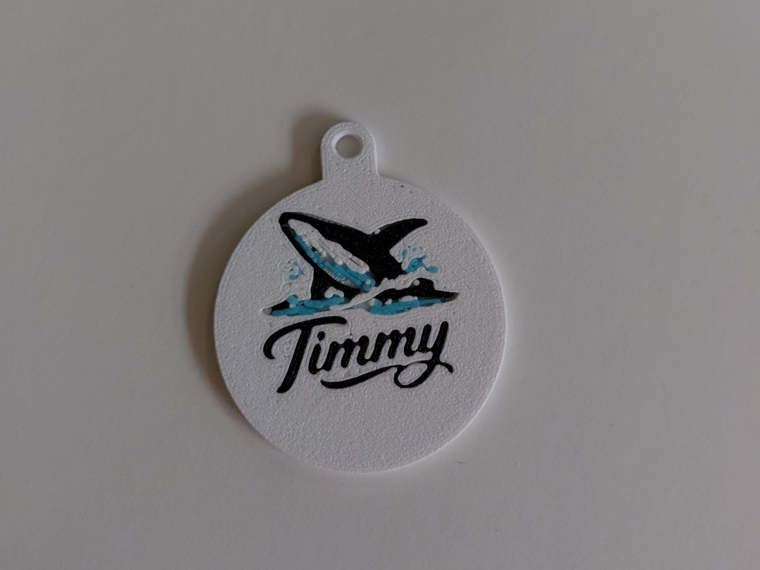 Buckelwal-Timmy