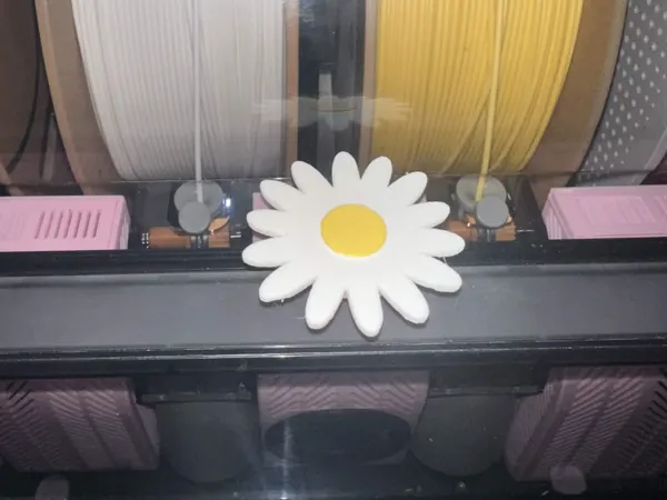 https://makerworld.bblmw.com/makerworld/model/DSM00000002642089/design/842d45dd282c3485.jpg