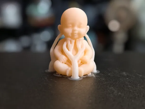 https://makerworld.bblmw.com/makerworld/model/DSM00000002644824/design/d97e2edb87491bca.jpg