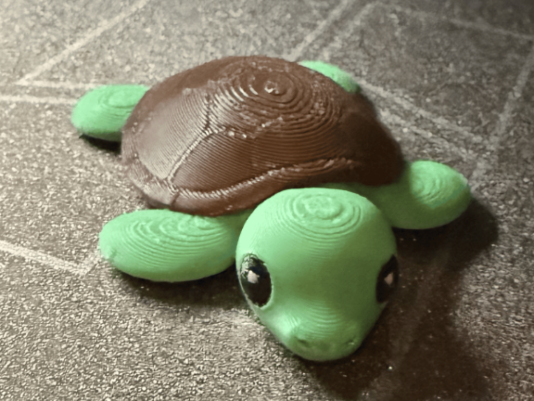 Ultimate Flexi Turtle | Multi & Single Color