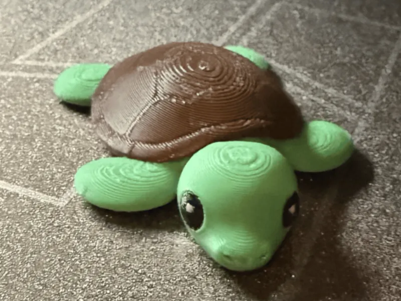 Ultimate Flexi Turtle | Multi & Single Color