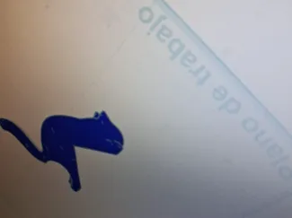 gato para cascos o auriculates