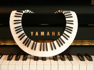 Ebony and Ivory necklace