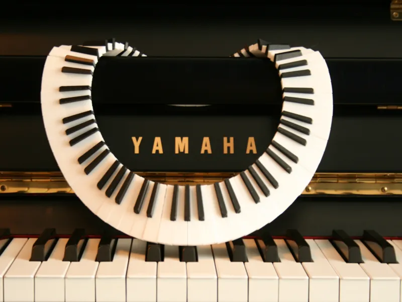 Ebony and Ivory necklace