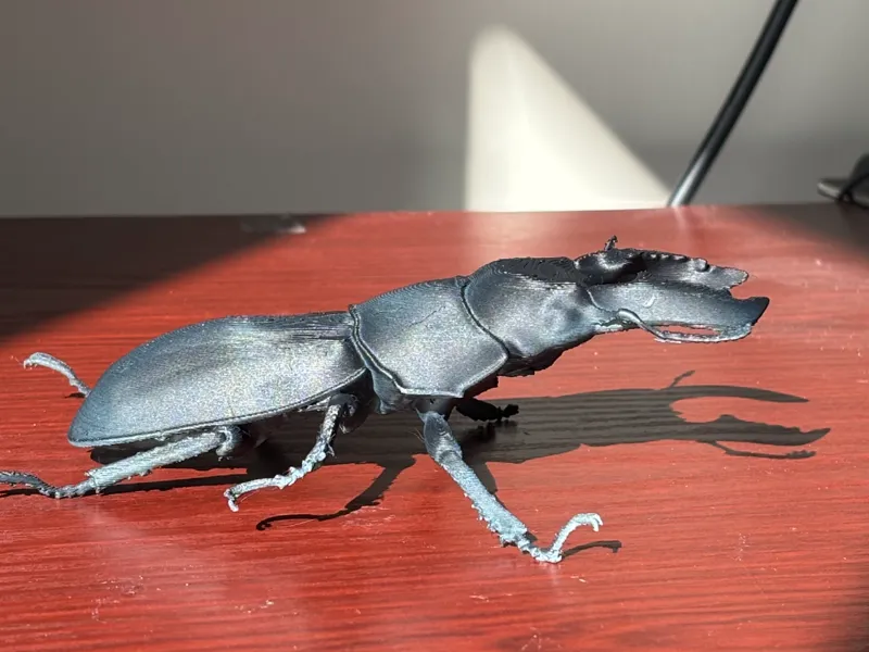 stag beetle