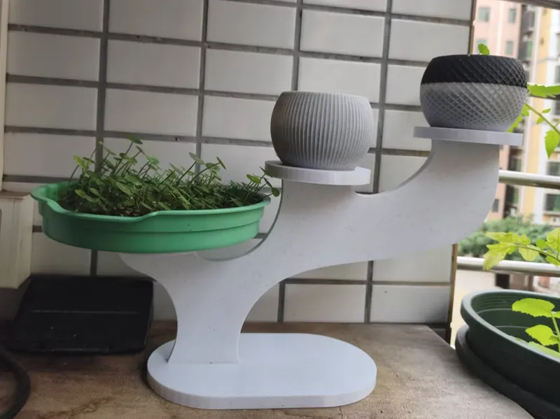 种植支架