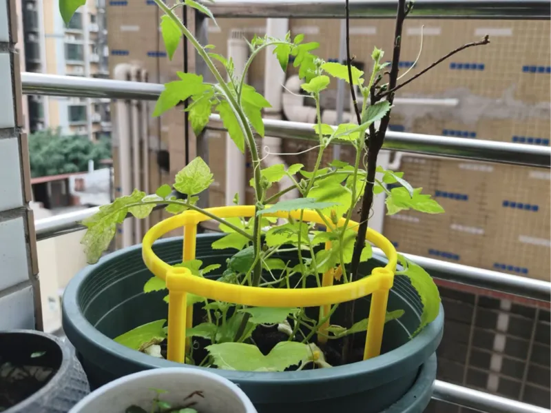 花架