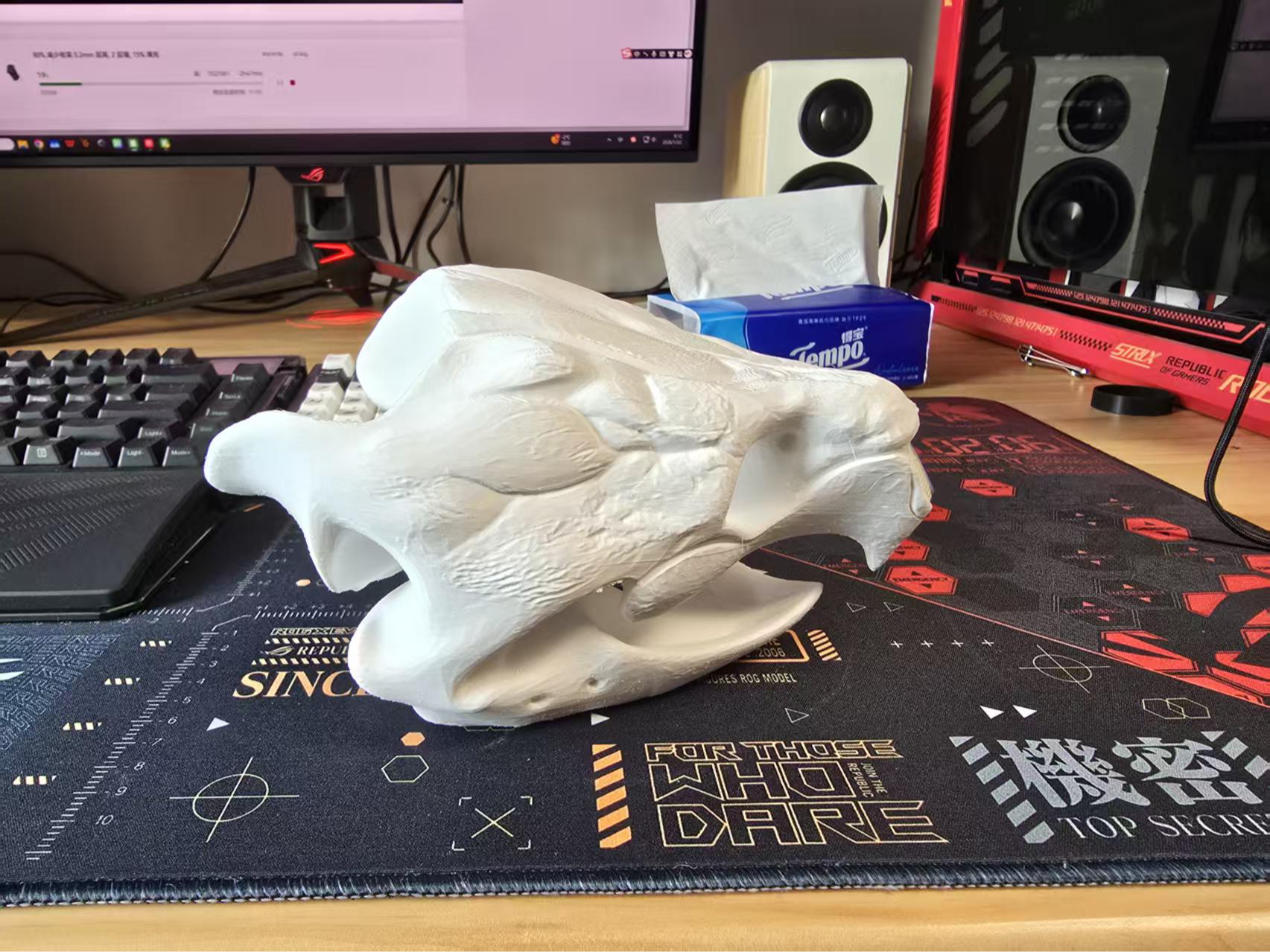 鳄龟头骨不可开合